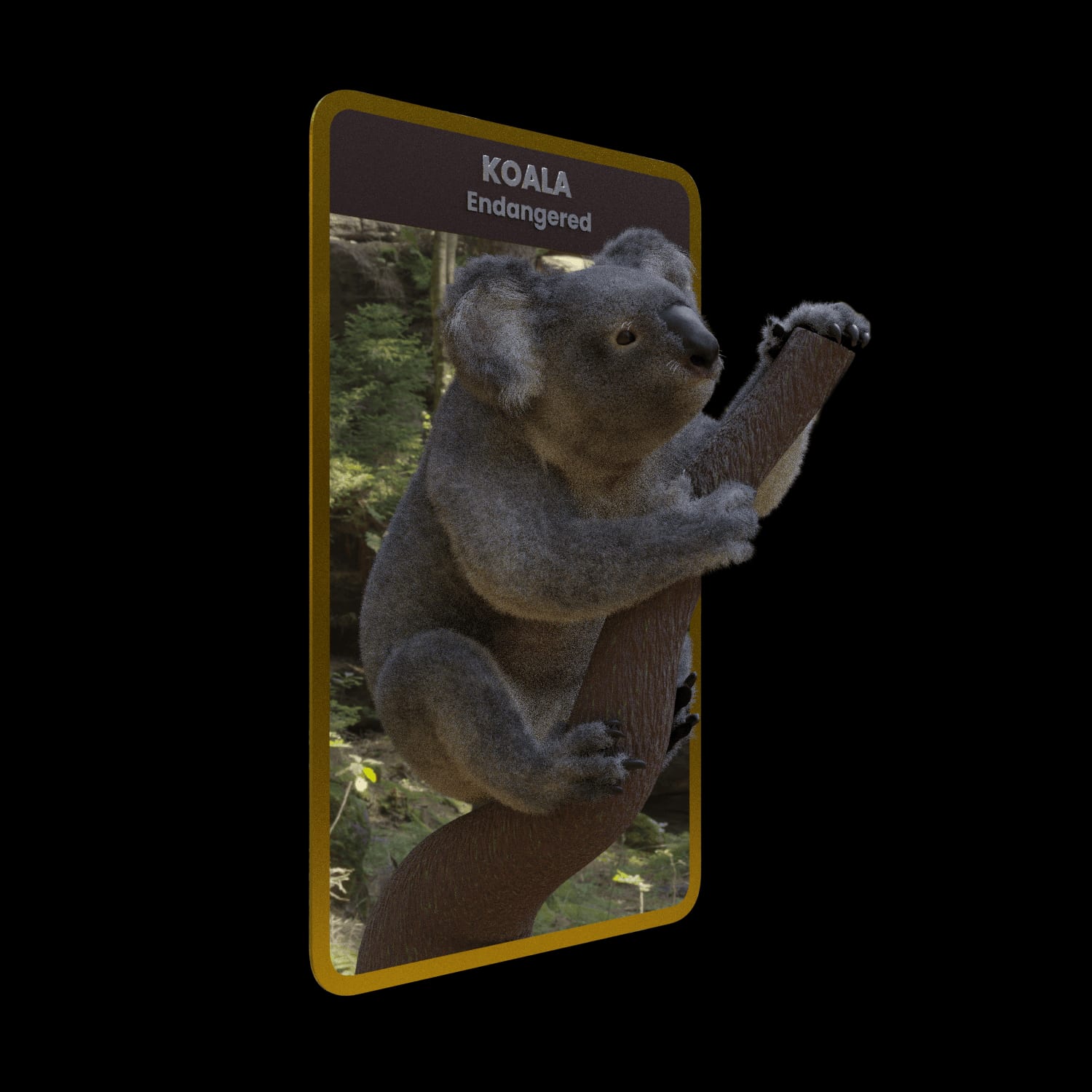 koala_Side01.png