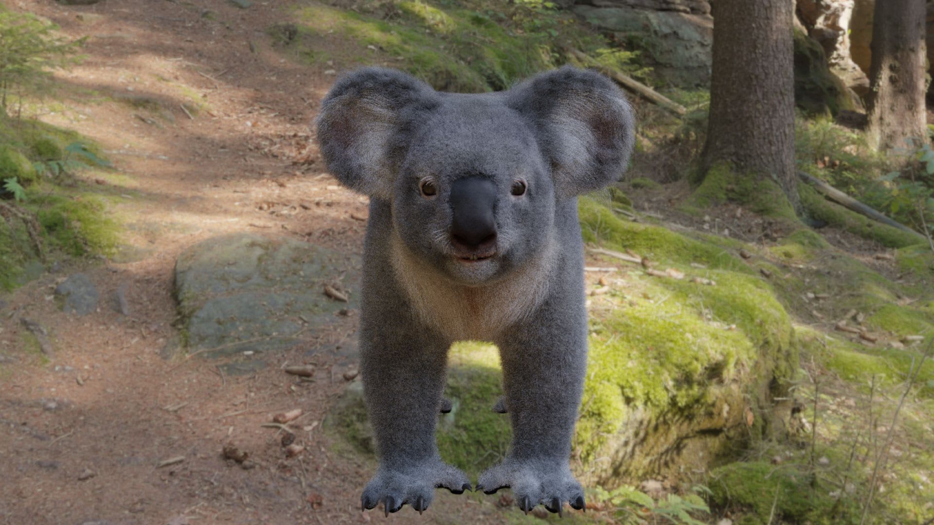 koala-fur.jpg