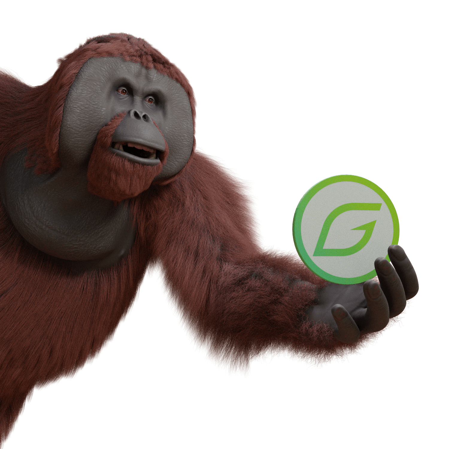 orangutan-closeUp01.png