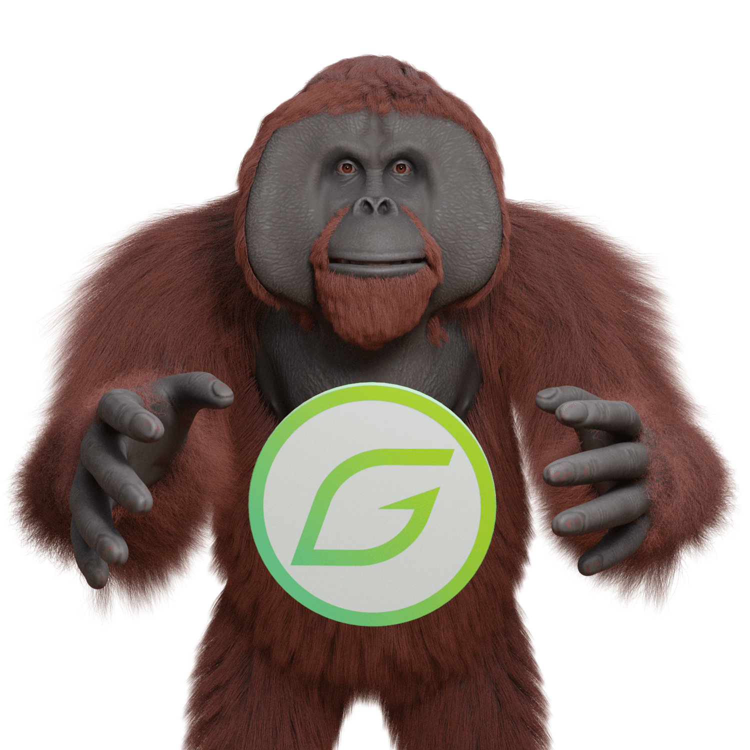 orangutan-closeUp02.png