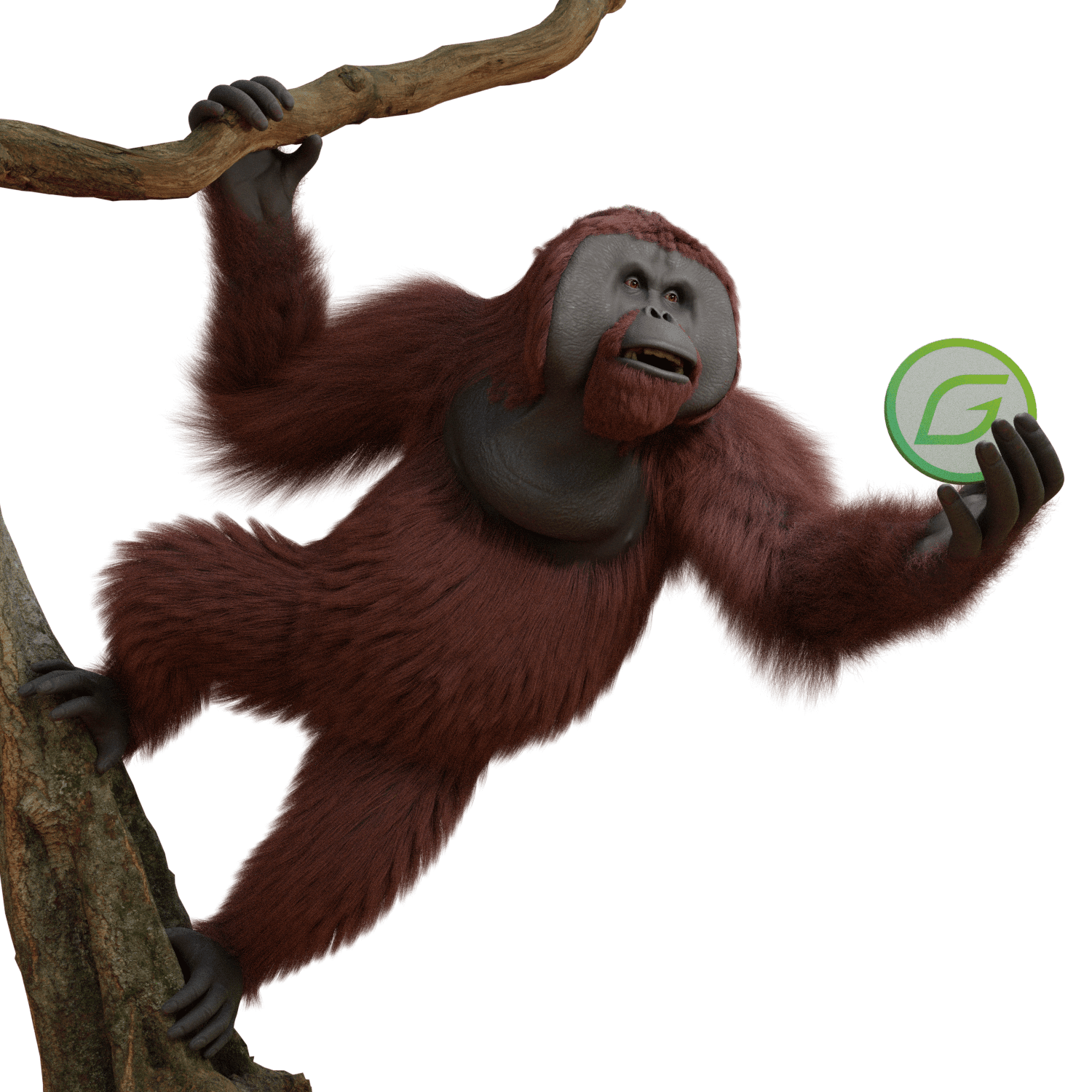 orangutan-pose01.png